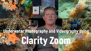 Getting proper macro on the AcePro 2 underwater