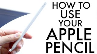 Video thumbnail for How To Use Your Apple Pencil! (Complete Beginners Guide) by Simple Alpaca