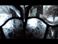 Greatest freak out ever 26 ORIGINAL VIDE Greatest freak out ever 26 ORIGINAL VIDE