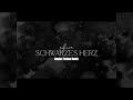AYLIVA - Schwarzes Herz | TwoGuys & Swotex Techno Remix