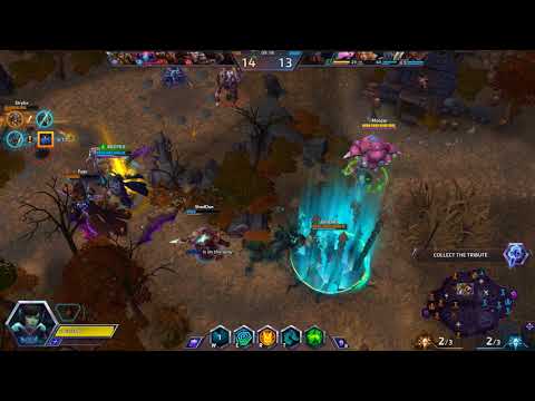 Heroes of the Storm - First Time D.Va Gameplay