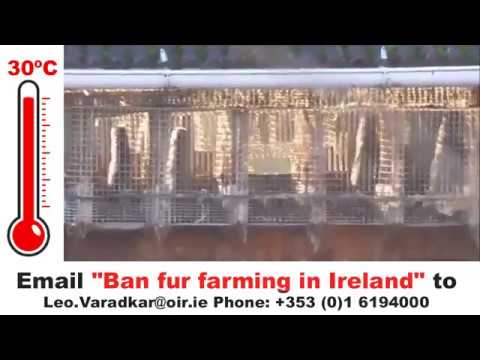 Thousands of mink trapped in metal cages during heatwave