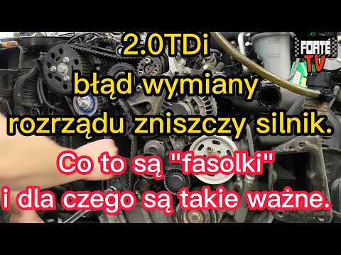 2.0TDi błąd wymiany rozrządu zniszczy silnik. Co to są "fasolki" i dla czego są takie ważne.
