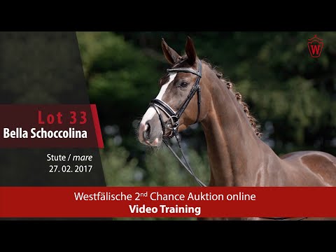 Westfälische 2nd Chance Auction - 12. bis 16. November - Nr. 33 Bella Schoccolina