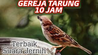 Download lagu MASTERAN GEREJA TARUNG NGEROLL 10 JAM GEREJA TARUN... mp3