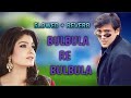 SLOWED + REVERB | Bulbula Re Bulbula | Govinda | Aunty No.1 | Hindi Song