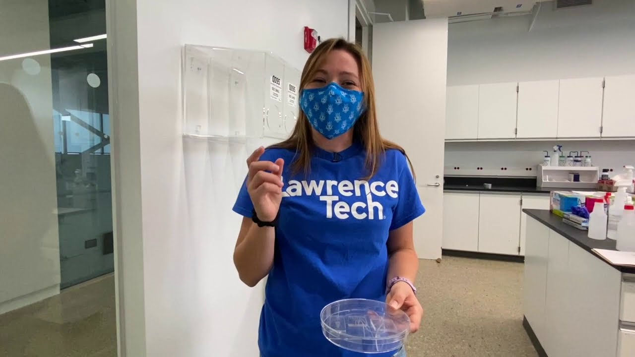 Biomedical Engineering Labs Tour