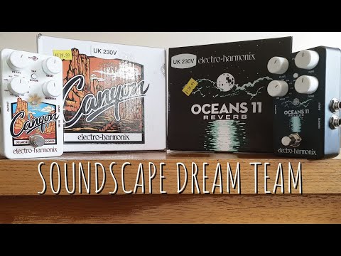 Canyon Delay & Oceans 11 Reverb | Pedal Pairings 1 #electroharmonix