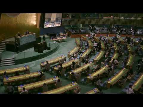 Don't Choose Extinction - The Dinosaur Film with Neer Shah डाइनोसर राष्ट्रसंघको महासभामा