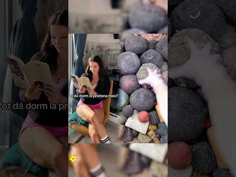 #shorts #shortsnobrasil #louix #funny #funnyvideos #fyp #pov #foryoupage #fypシ #foryou#ytbshorts