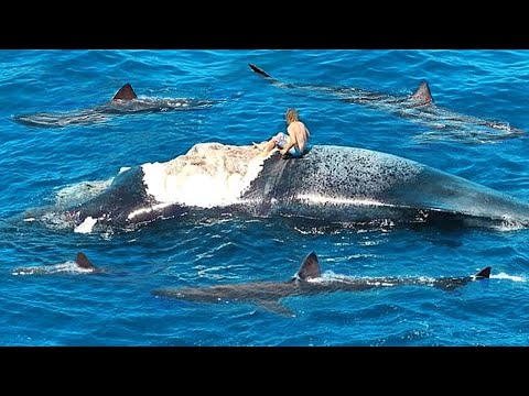 TOP 10: Najsrecnijih Ljudi Snimljenih Kamerom