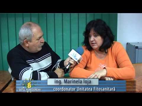 Satul hunedorean 8 decembrie 2013