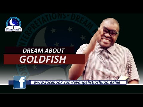 Dream About Goldfish with Biblical Meaning