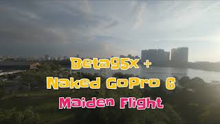 Beta95x v2 with Naked GoPro Hero 6