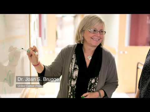 Dr. Dennis Slamon, M.D. Ph.D. on United Cancer Front Scientists