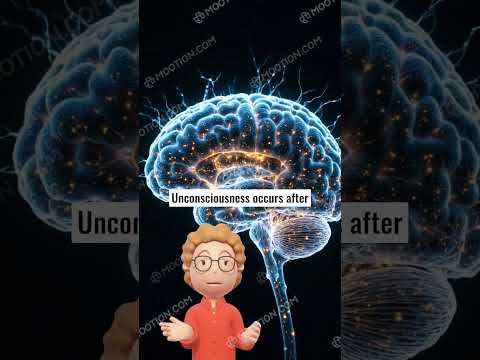 The 264-Hour Wakefulness Record