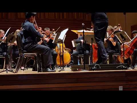 Suite for Strings - 1. A-Roving - John Rutter - CSI Strings