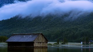 Nevoia ta e mare - Nicolae Moldoveanu