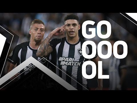 Gols | Botafogo 2x0 América-MG | Brasileirão