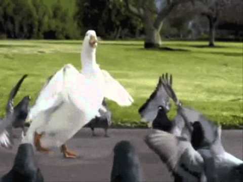 starkillers - bitch ass trick original vocal mix