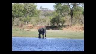 preview picture of video 'Sudafrica Zambia 2014'