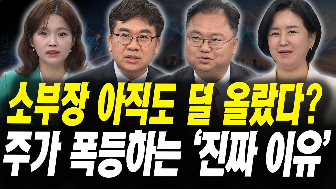 삼성전자 쉬어갈 때 사라? 하반기 주도주는 '여기' (최고민수 작가, 김지운 삼성액티브자산운용 본부장, ?