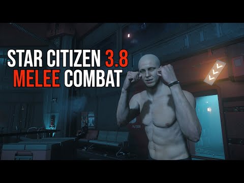 Star Citizen 3.8.0 PTU Melee Combat