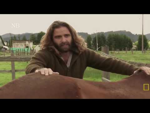 O domador de Cavalos  Ep  Equoterapia com Zarina