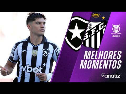 Botafogo 2x2 Santos I Melhores momentos I Brasileirão 2025
