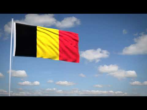 Studio3201 - Animated flag of Belgium