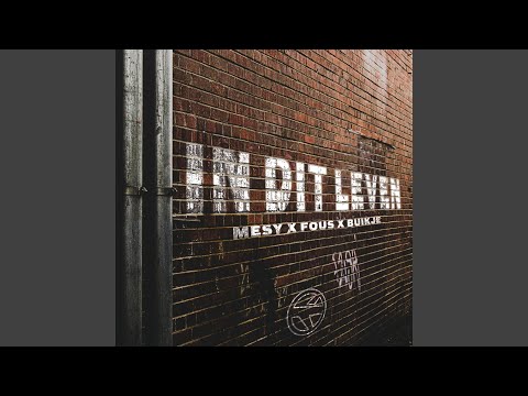 In Dit Leven (Instrumental)