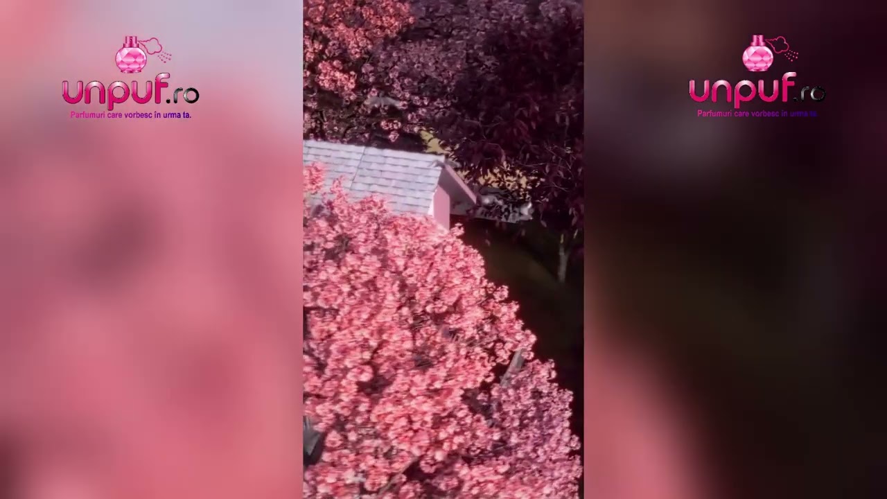 Video produs