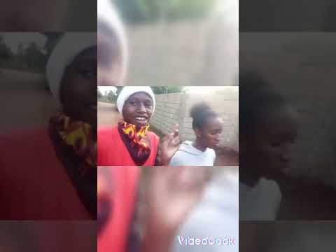 SPLINTER SPLINTS - DAILY NIKO MOSHI OFFICIAL VIDEO