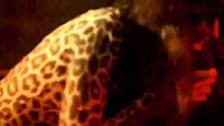 Juliet Simms - Wild Child