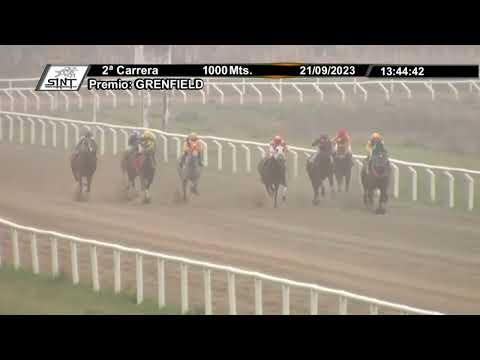 SINT COLONIA 230921 c02 - 1° SOÑADORA FT