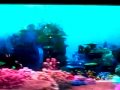 Pt 1 B Finding Nemo Mp4