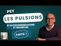 PSY LES PULSIONS 1 3 FREUD Pulsions D Autoconservation Et Sexuelles Métapsychologie