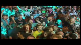 Ska P Live in Woodstock Festival