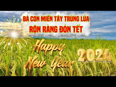     0:05 / 10:58   Năng suất lúa thu hoạch trước tết tại Sóc Trăng| Bà con phấn khởi đón TẾT