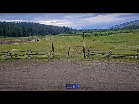 Turpin Meadow Ranch live webcam