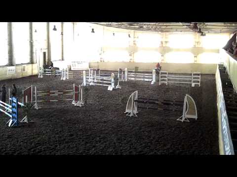 Show jumping horse for sale Caliente (Cormint)