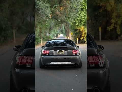 04 Mach 1 - BBK O/R X, Custom IRS Catback, and Vibrant UQ Resonators