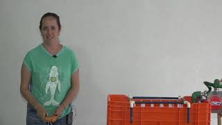 Máquina lavadora de botellas