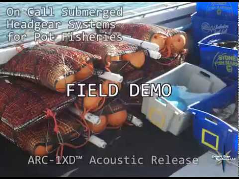 download lagu mp3 mp4 Ropeless Fishing Gear, download lagu Ropeless Fishing Gear gratis, unduh video klip Ropeless Fishing Gear
