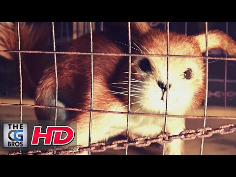 CGI 3D Animated Trailers: "Pokemon - Dark Edition" - by Clement Martin | TheCGBros