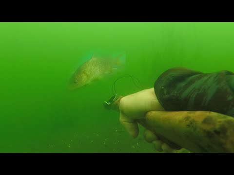 SE02EP113 Part 1 - MALUSOG na BAGONG SPOT sa TALISAY BATANGAS