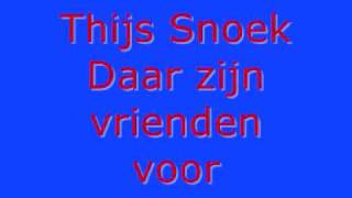 Daar zijn vrienden voor, Thijs Snoek