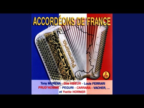 Swing accordéon