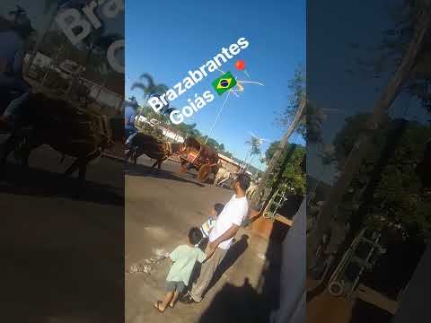 rota de Goiânia a Brazabrantes Goiás pela Go 070.
