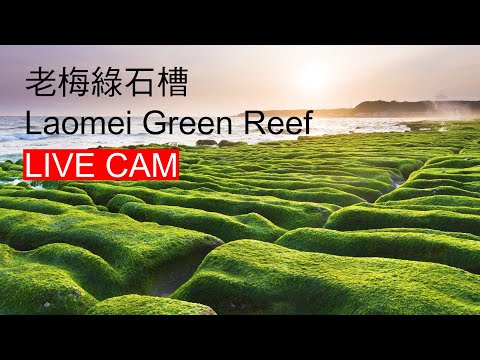 石門老梅綠石槽即時影像